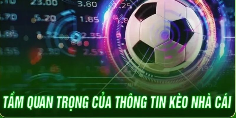 Tầm quan trọng về kèo chơi nhà cái mà bạn cần biết