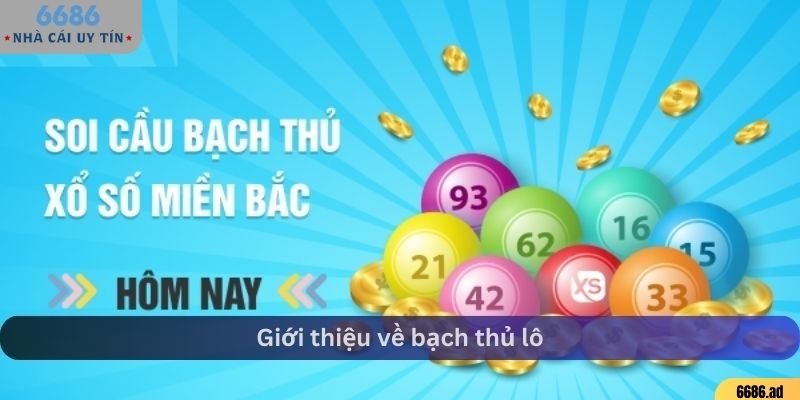 Khái niệm về lô bạch thủ