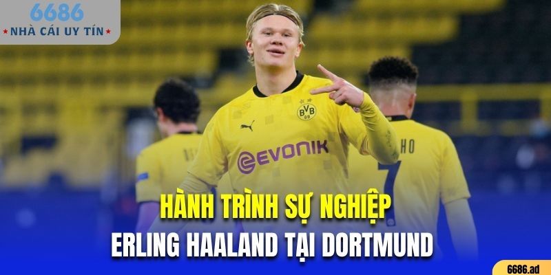 Hành trình sự nghiệp của Erling Haaland tại Dortmund