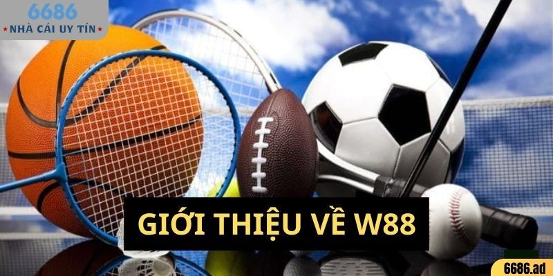 Tổng quan về W88